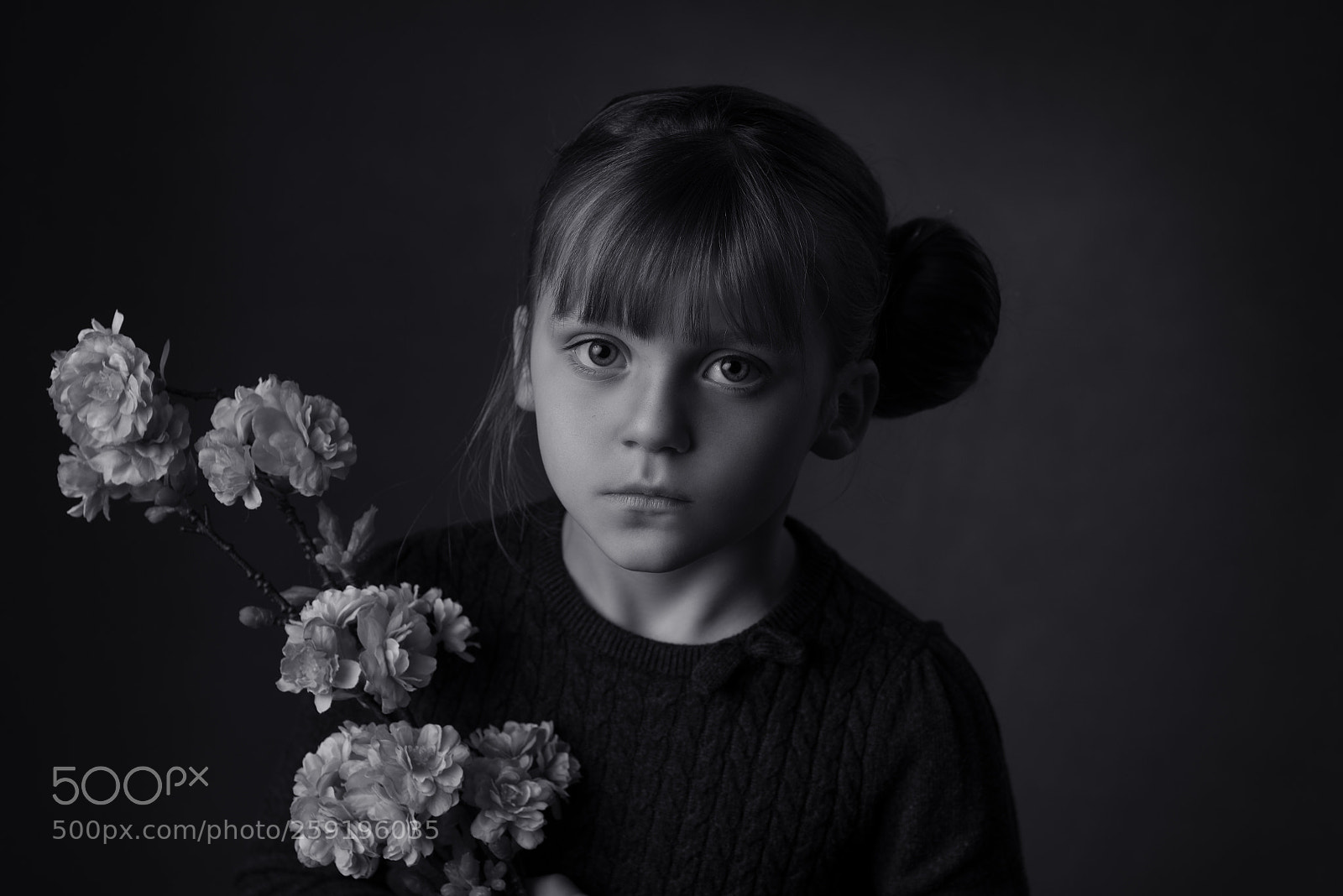 Nikon D750 sample photo. Untitled photography