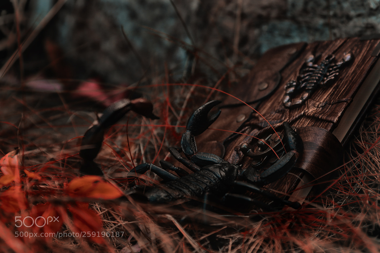 Canon EOS 7D Mark II sample photo. Scorpiotales photography