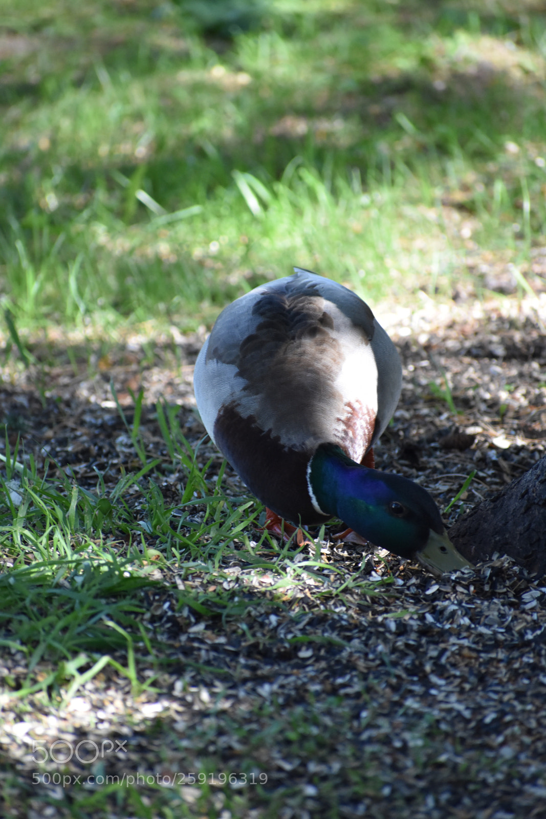 Nikon D3400 sample photo. Supper time photography