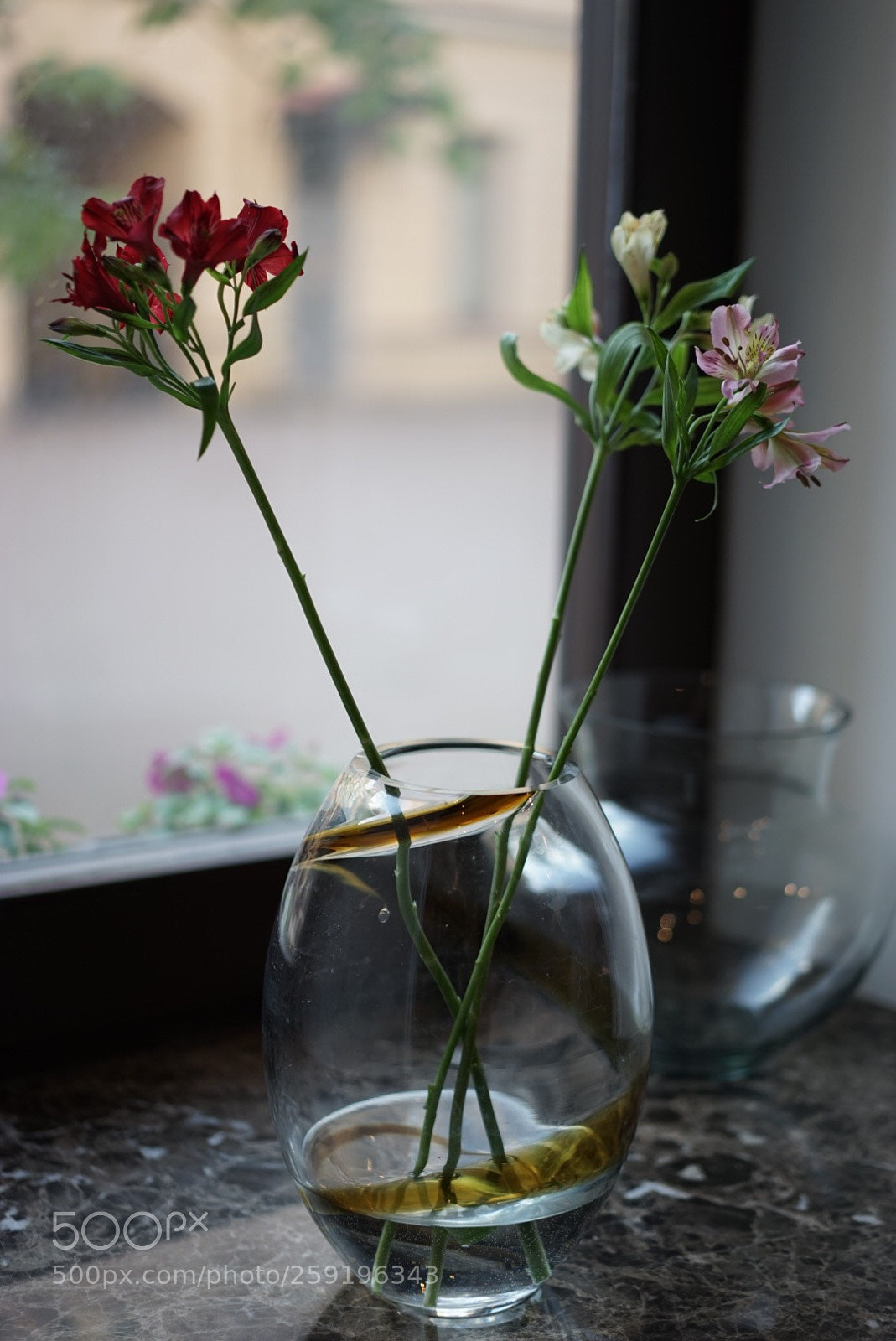 Sony a7 sample photo. Untitled photography