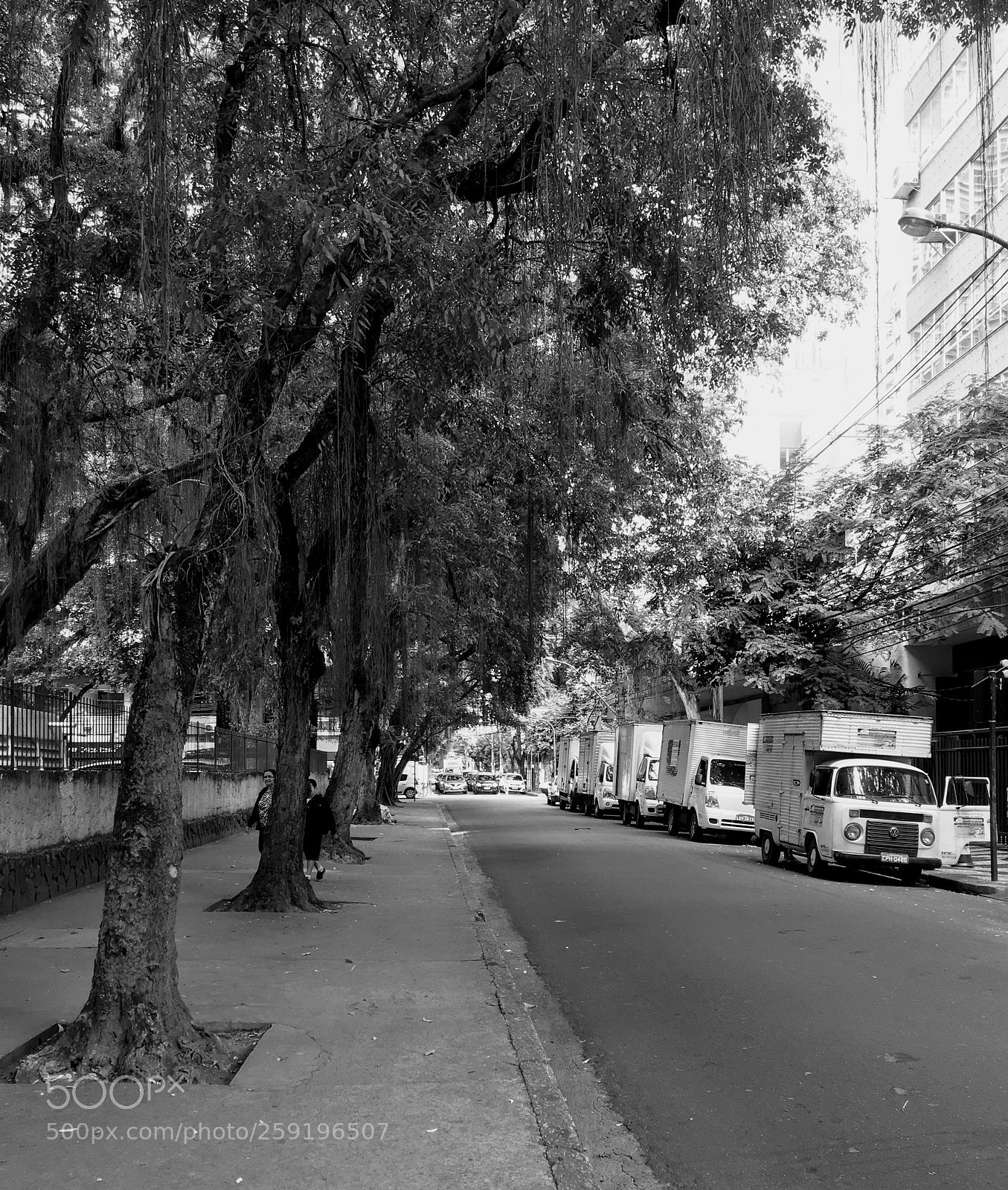 Apple iPhone SE sample photo. A frete photography