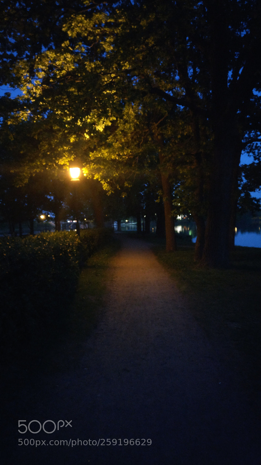 OnePlus A3003 sample photo. Night. park. lamp... photography