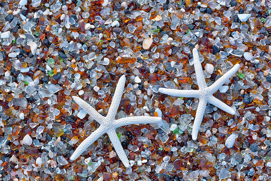 Canon EOS-1Ds Mark III sample photo. Starfish shell at glass beach. kauai, hawaii. photography