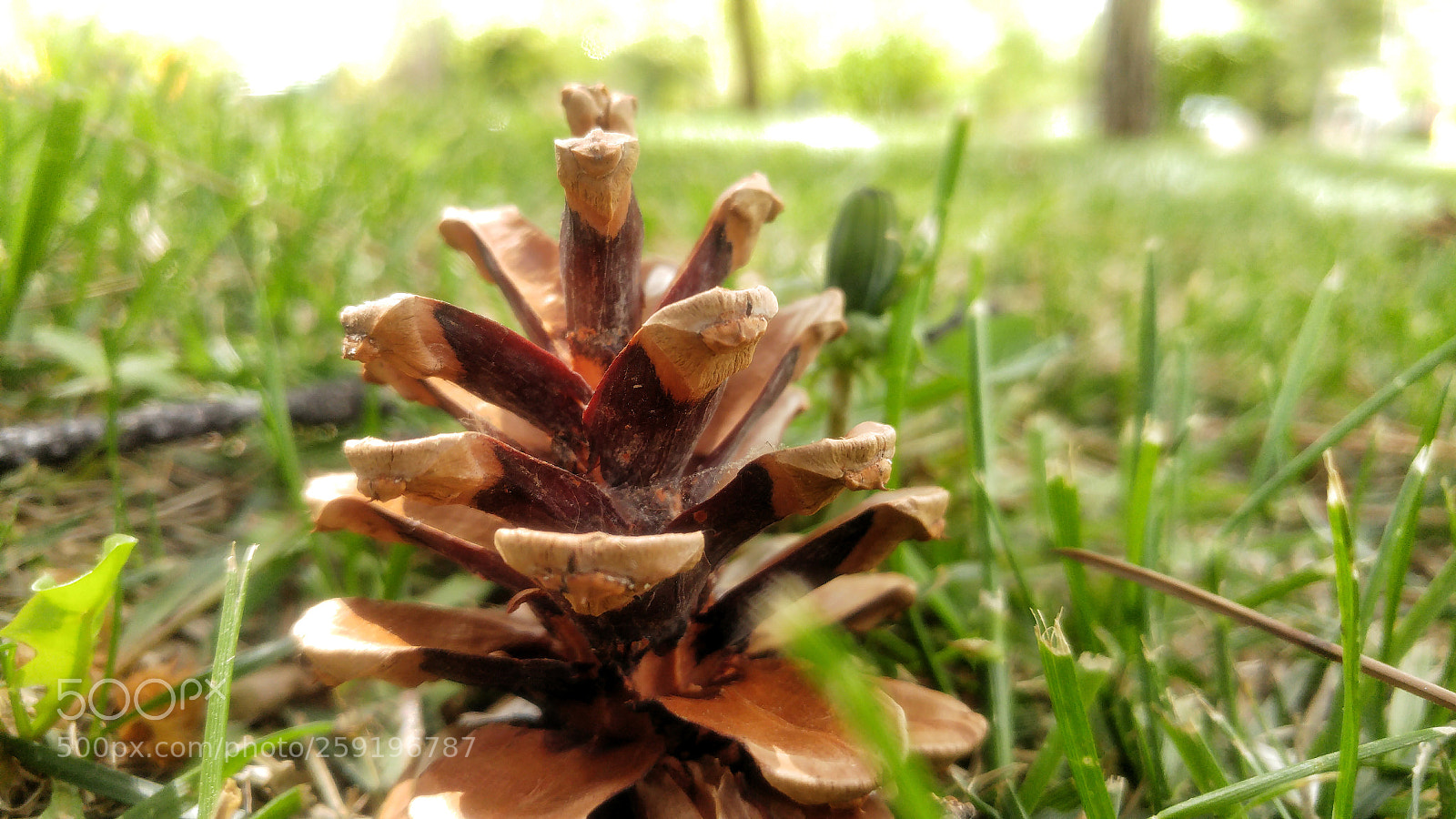 LG G5 sample photo. Kozalak photography