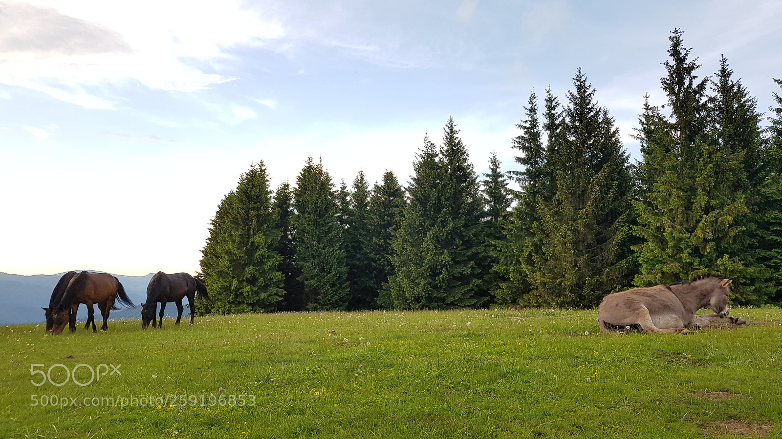 Samsung Galaxy S8 sample photo. Untitled photography