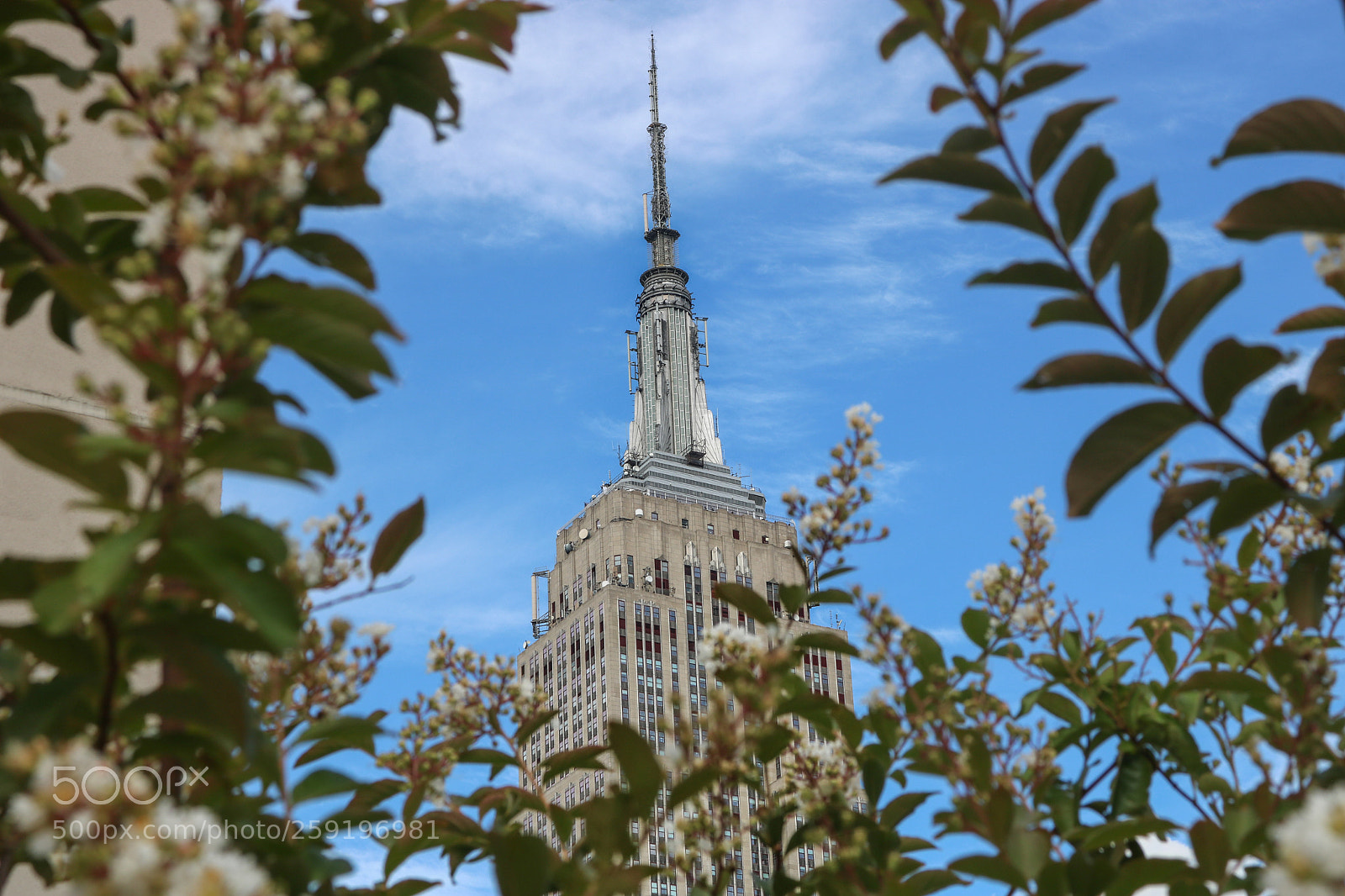 Canon EOS 750D (EOS Rebel T6i / EOS Kiss X8i) sample photo. Empire state building photography
