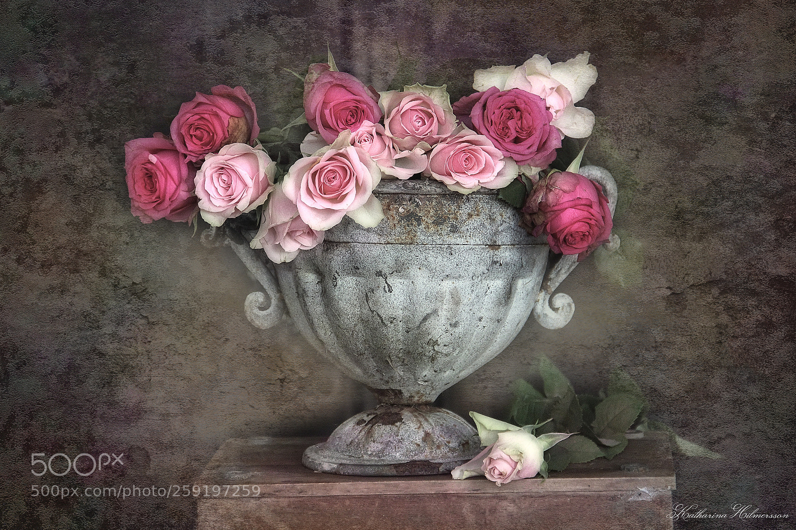 Canon EOS 60D sample photo. Pink roses photography