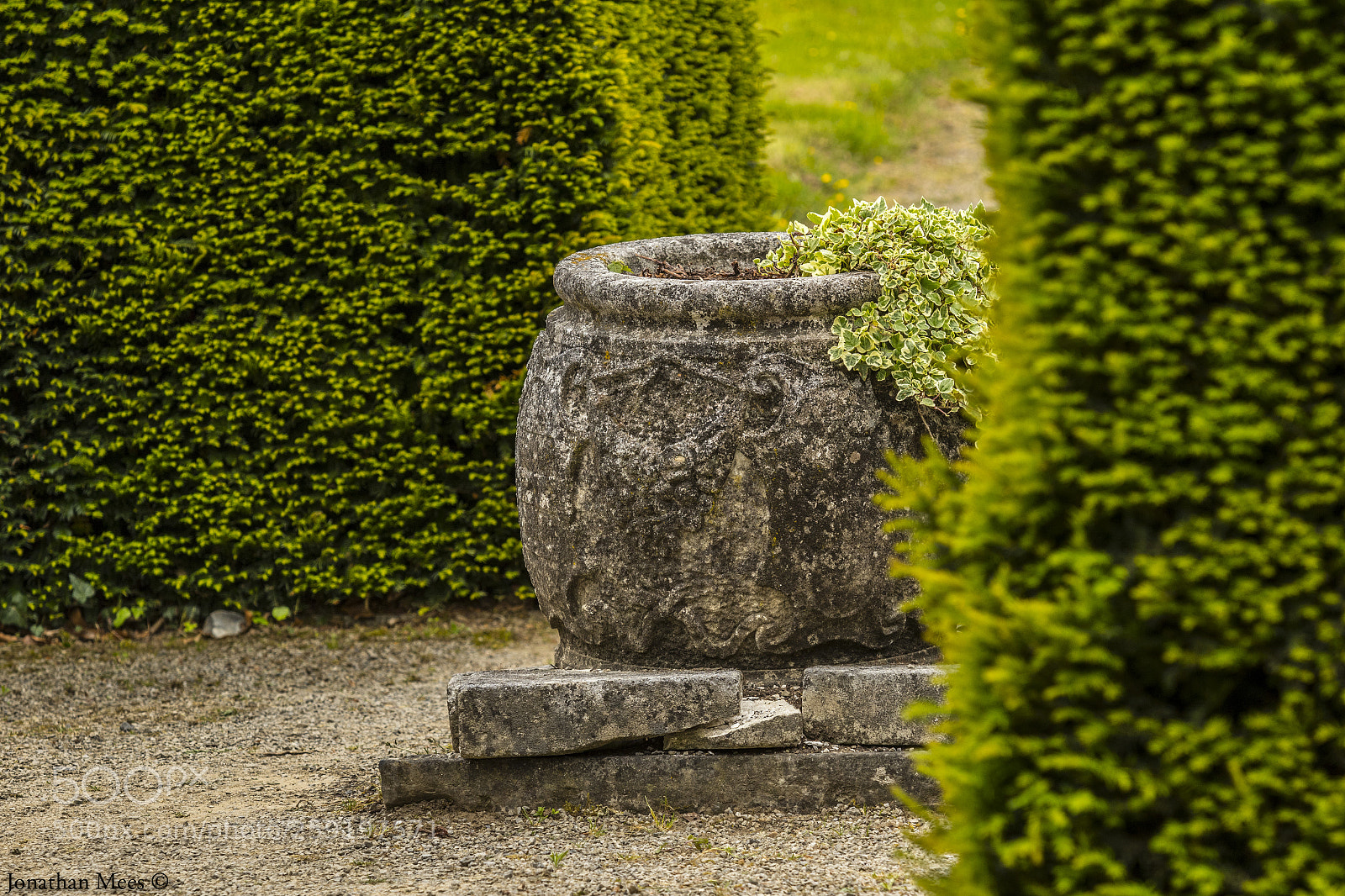 Canon EOS 7D Mark II sample photo. Green photography