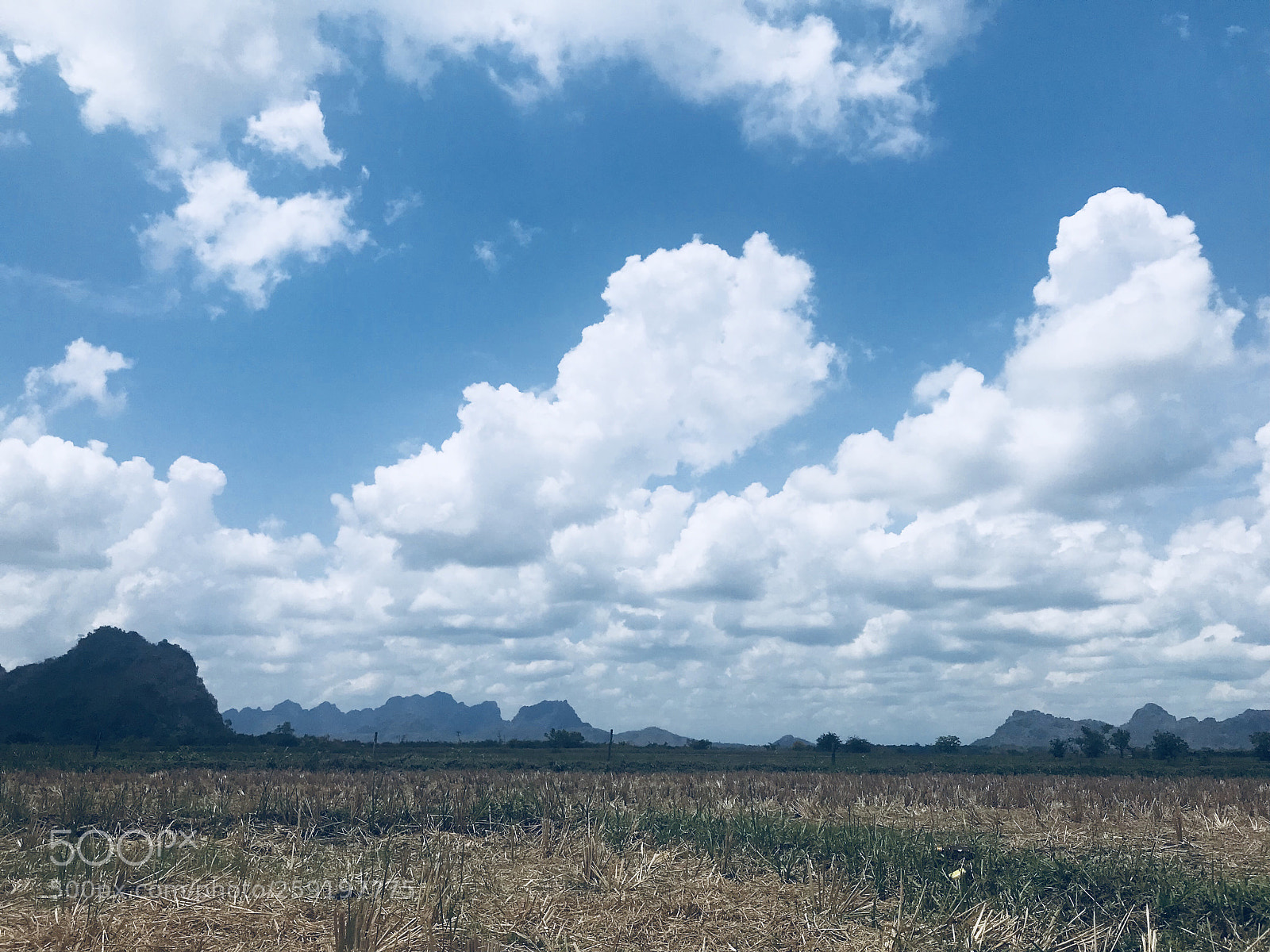 Apple iPhone 7 Plus sample photo. Untitled photography