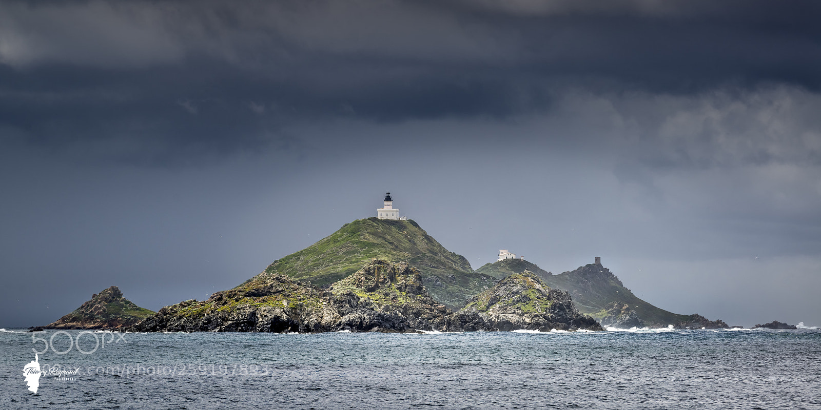 Nikon D600 sample photo. Gros plan photography