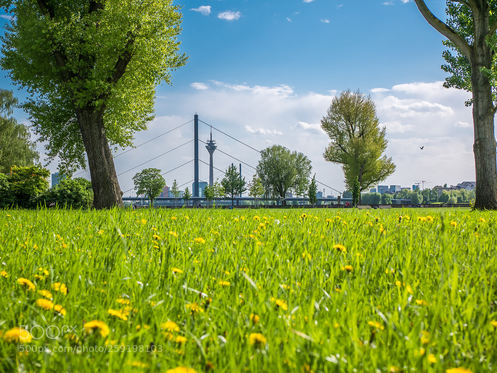 Panasonic Lumix DMC-GX85 (Lumix DMC-GX80 / Lumix DMC-GX7 Mark II) sample photo. Fr hlings d ssel photography