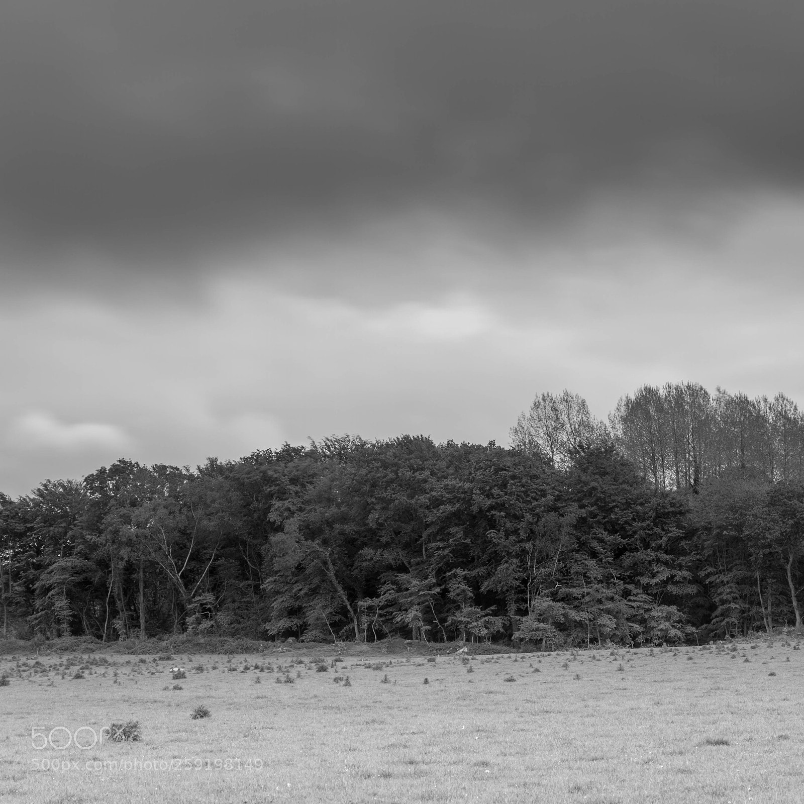 Canon EOS 7D sample photo. Superimposed layer photography