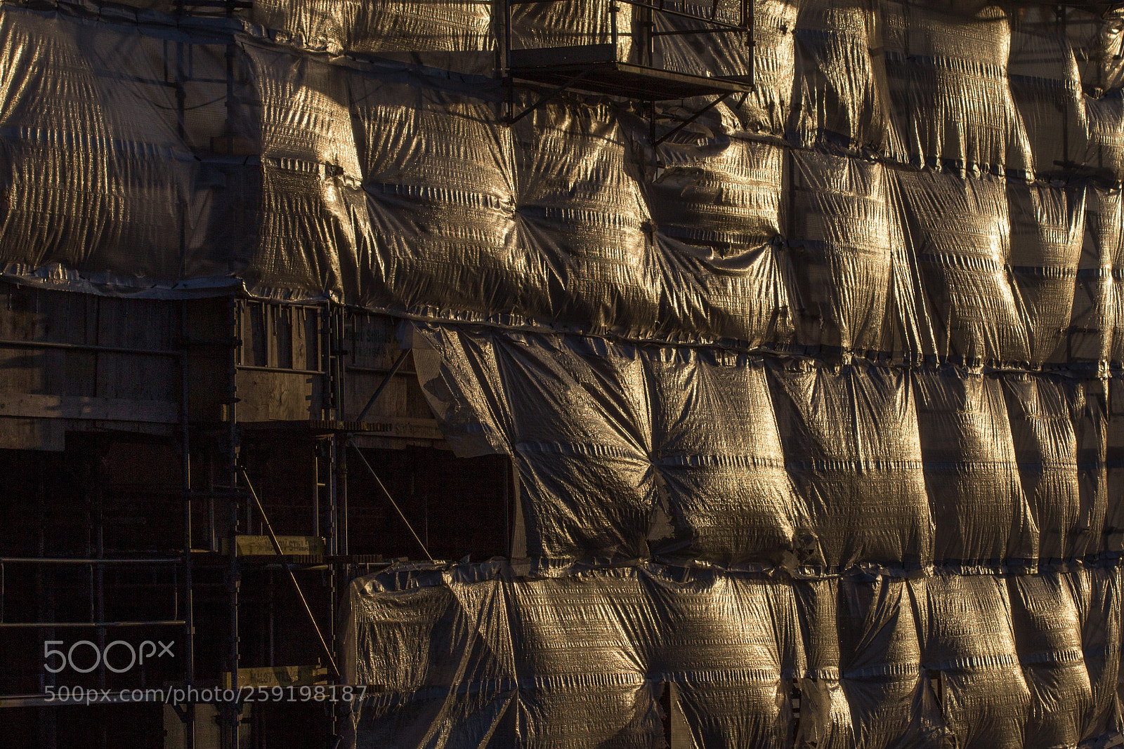 Canon EOS 60D sample photo. Golden hour photography