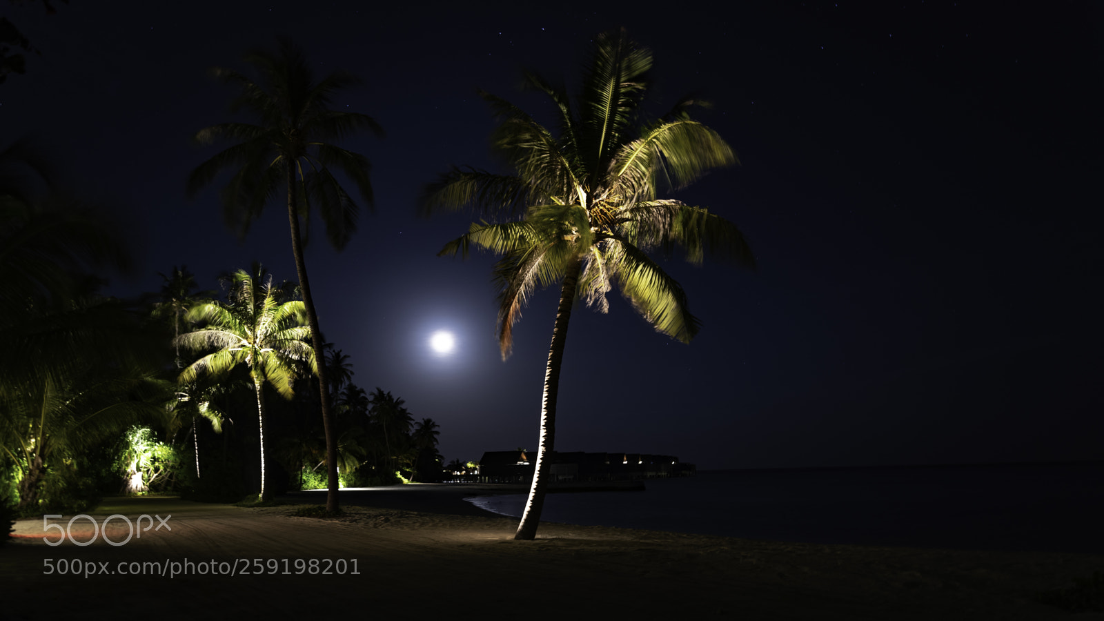 Nikon D750 sample photo. Moon over paradise photography
