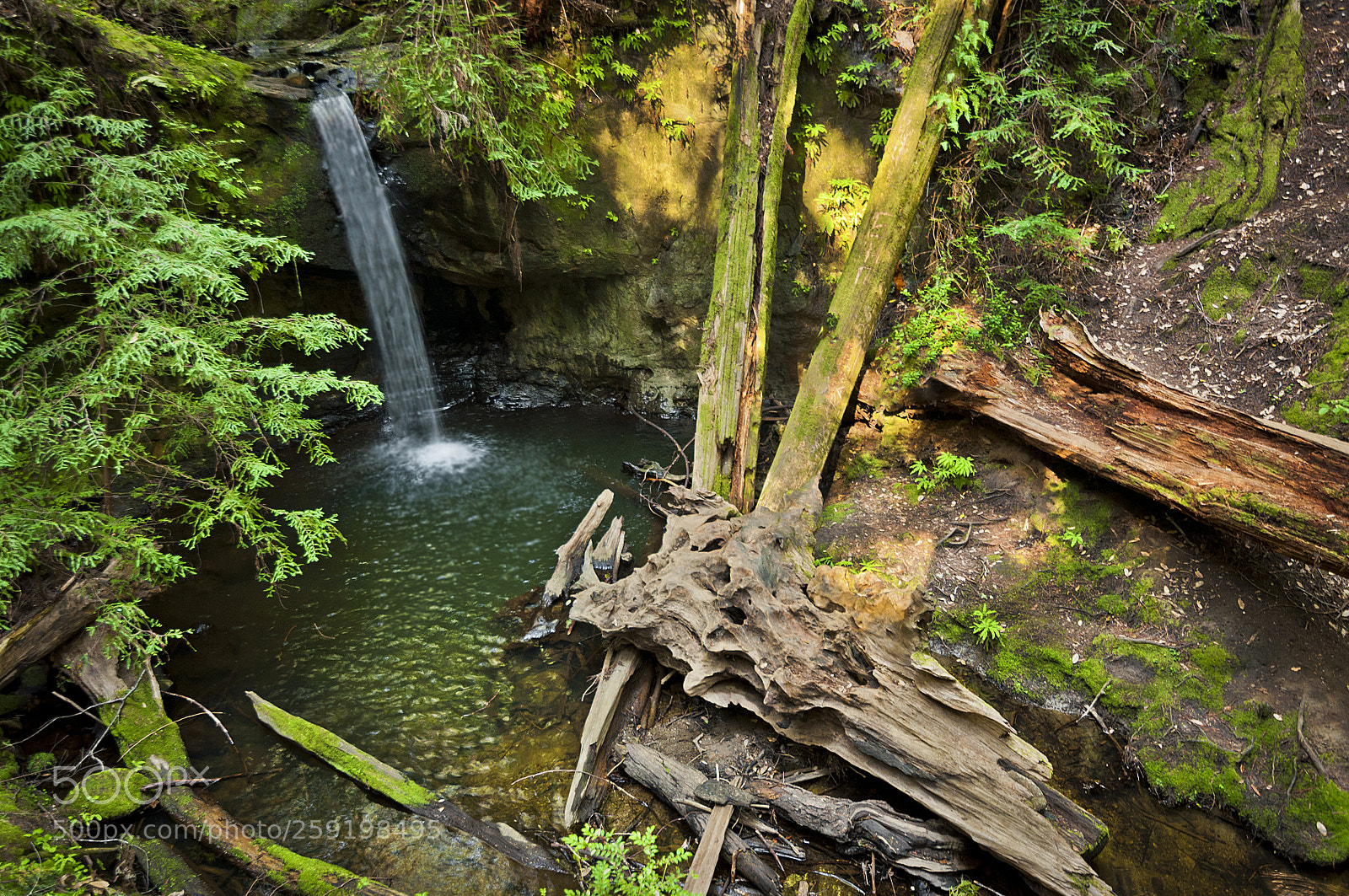 Nikon D90 sample photo. Waterfall between the trees photography