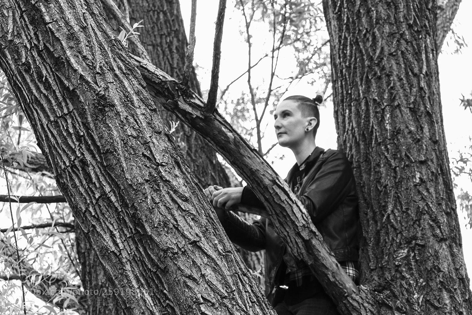 Canon EOS 80D sample photo. Rochester lilac festival 2018 photography