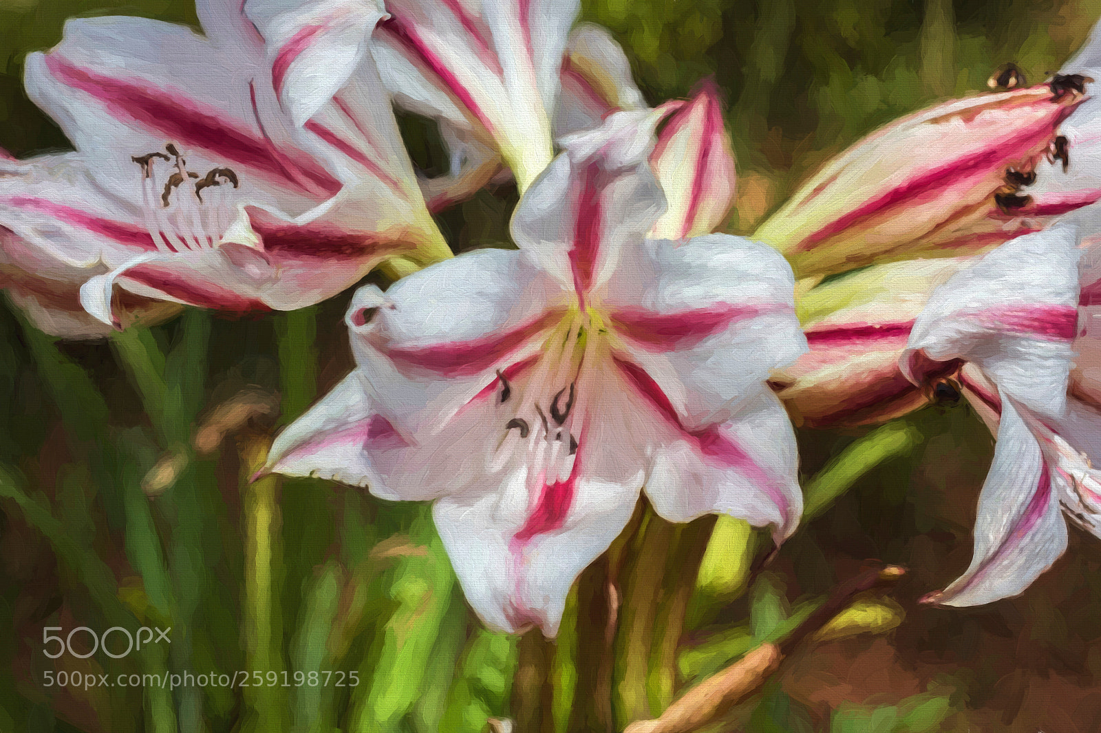 Canon EOS 60D sample photo. In the garden photography