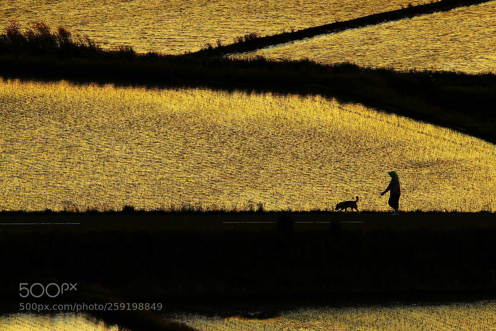 Canon EOS-1D X sample photo. Walk in the sunset photography