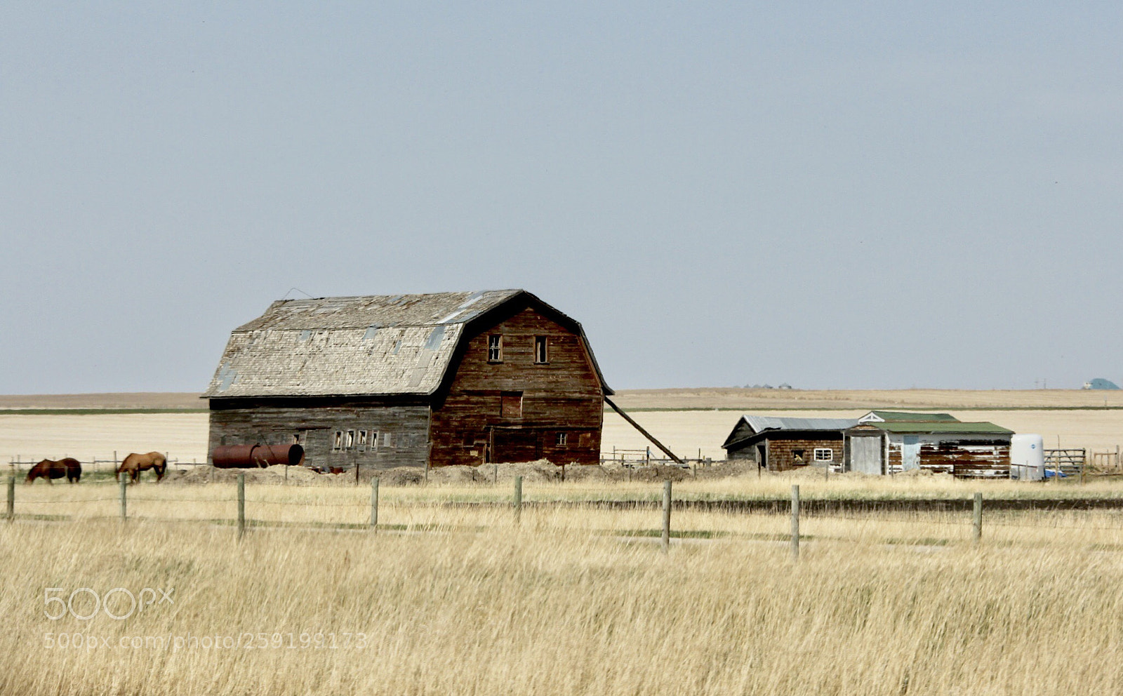 Canon EOS 60D sample photo. Prairie  photography