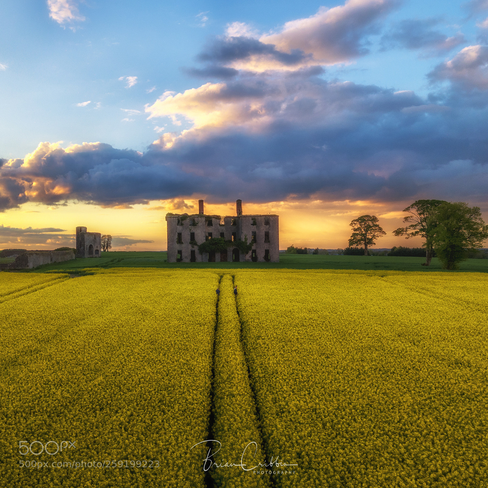 DJI FC220 sample photo. King of the castle photography