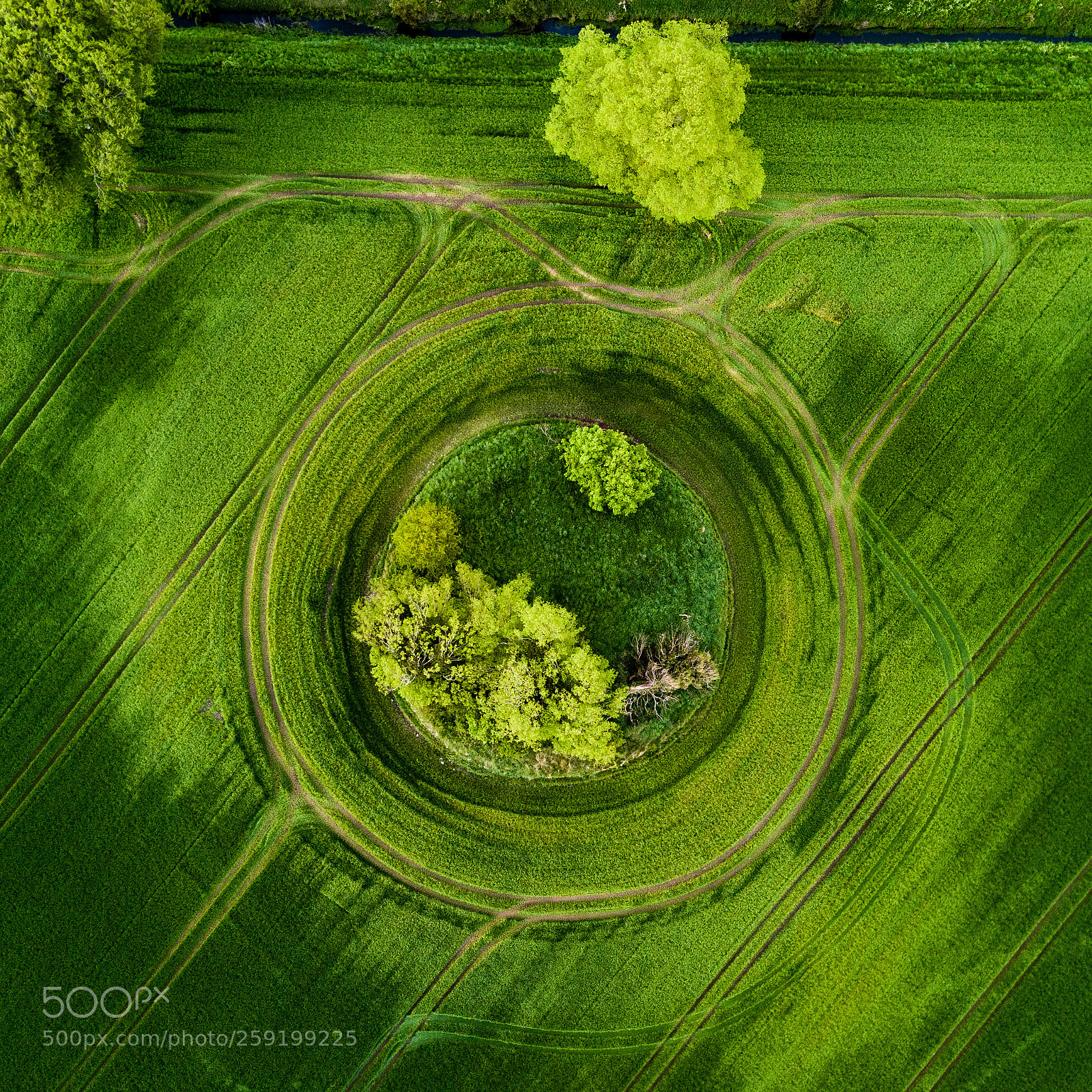 DJI FC220 sample photo. Crop cycle photography