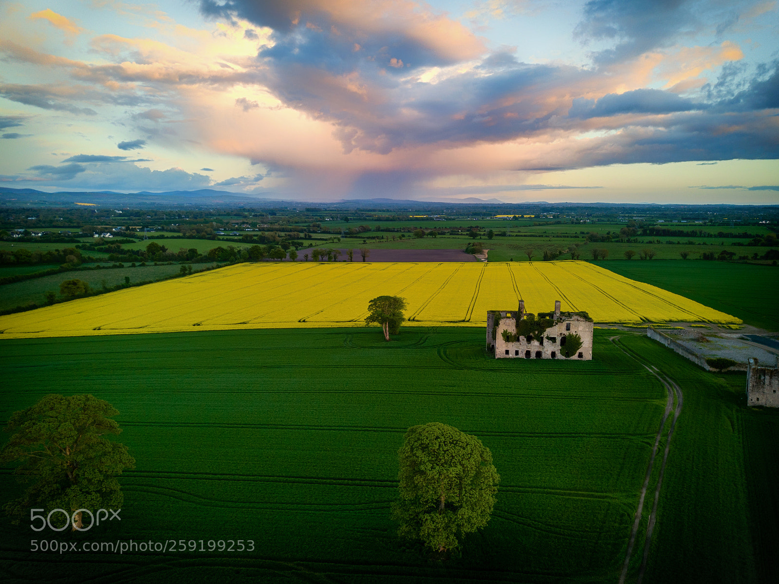 DJI FC220 sample photo. From a dissidence photography