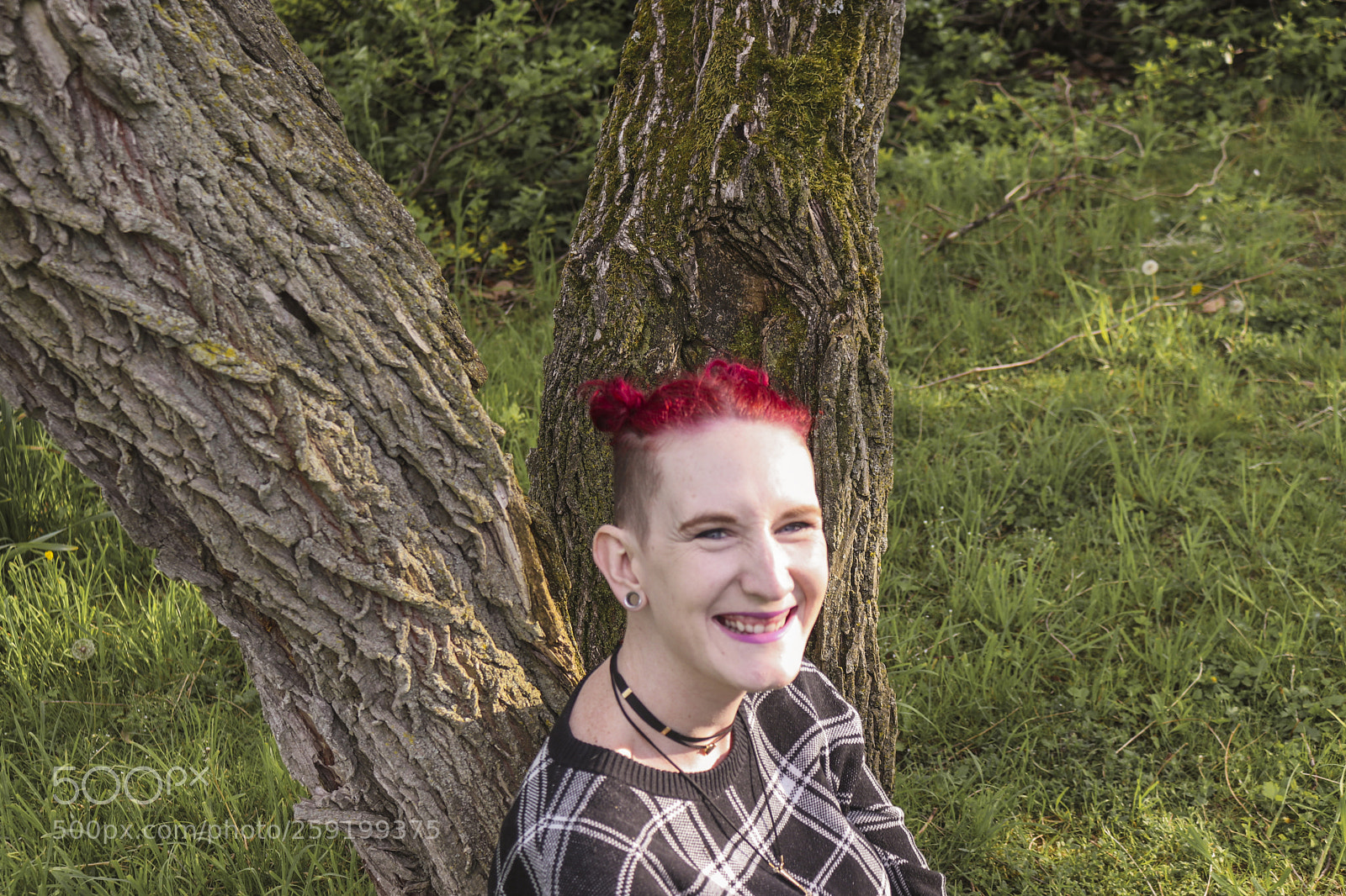 Canon EOS 80D sample photo. Rochester lilac festival 2018 photography