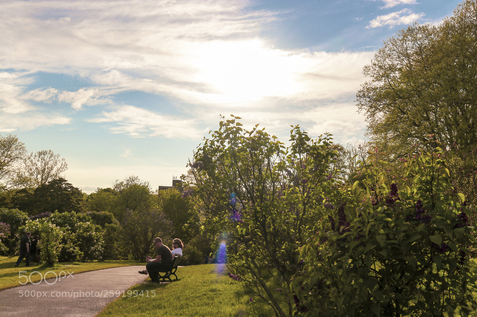 Canon EOS 80D sample photo. Rochester lilac festival 2018 photography