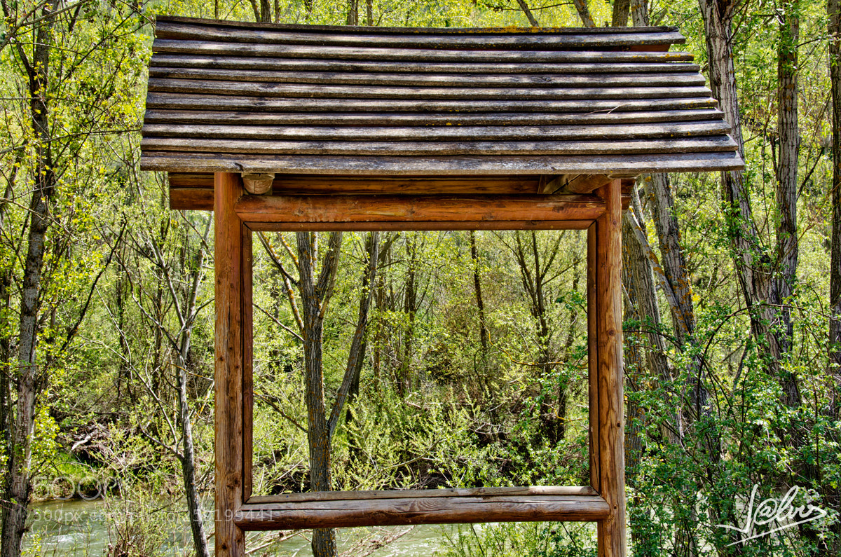 Nikon D5100 sample photo. Information panel photography