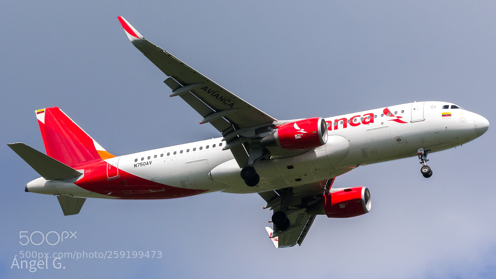 Sony SLT-A55 (SLT-A55V) sample photo. Airbus a320-200 – avianca photography