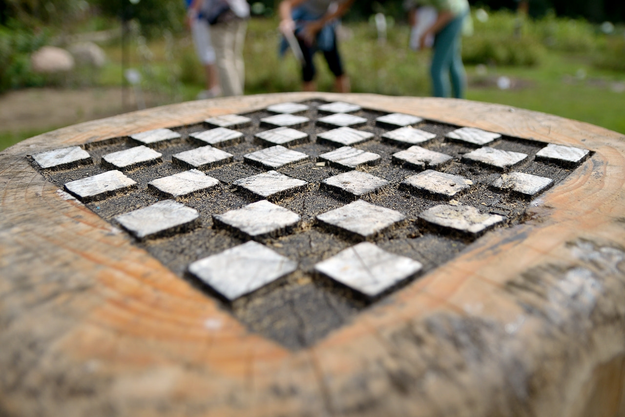 Sigma 17-50mm F2.8 EX DC OS HSM sample photo. Chessboard photography