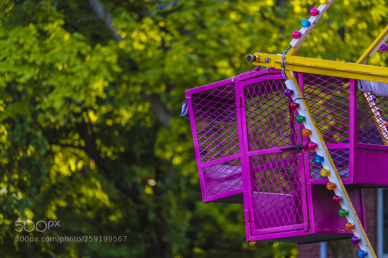 Canon EOS 80D sample photo. Rochester lilac festival 2018 photography