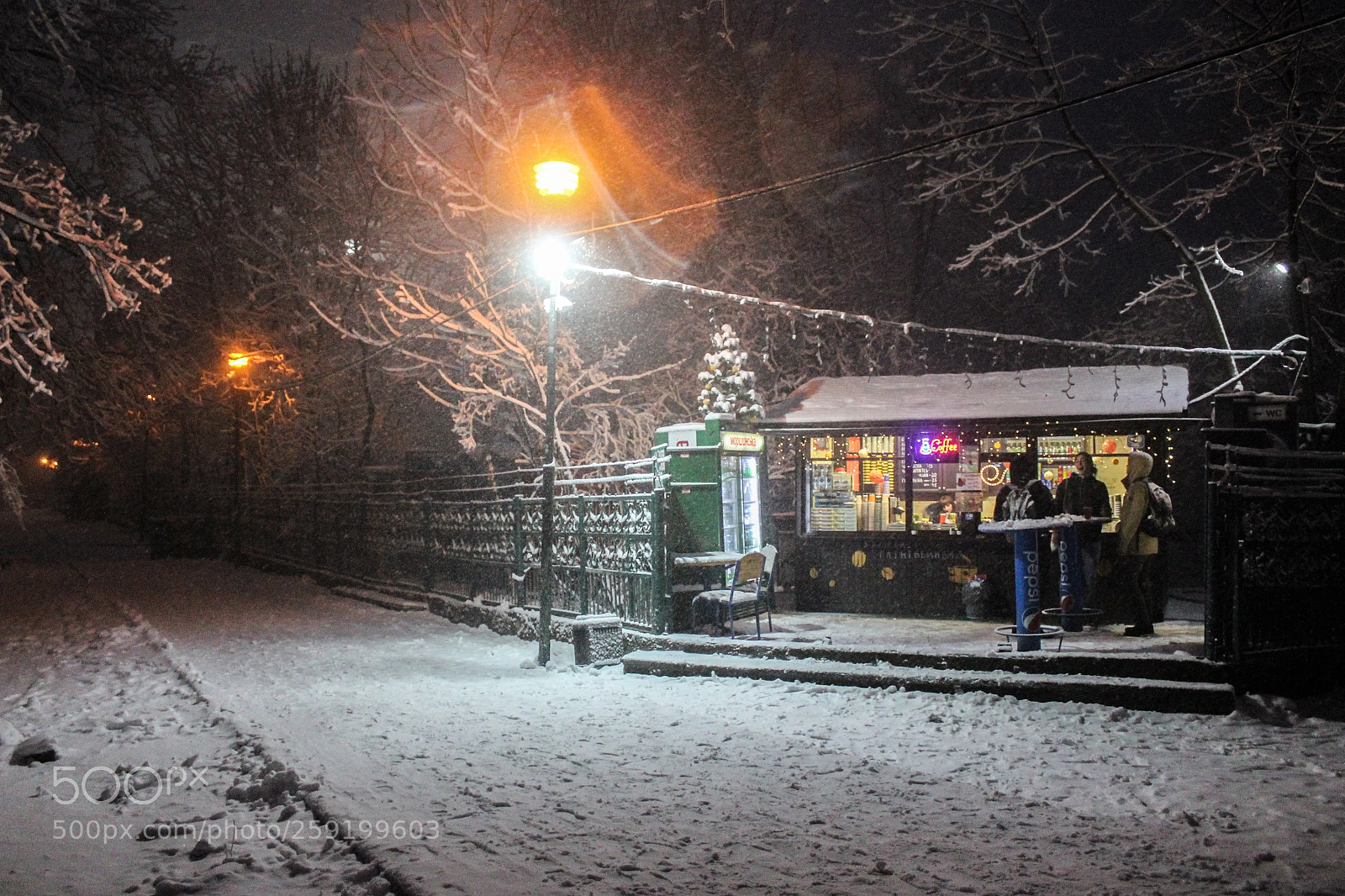Canon EOS 550D (EOS Rebel T2i / EOS Kiss X4) sample photo. High castle lviv photography