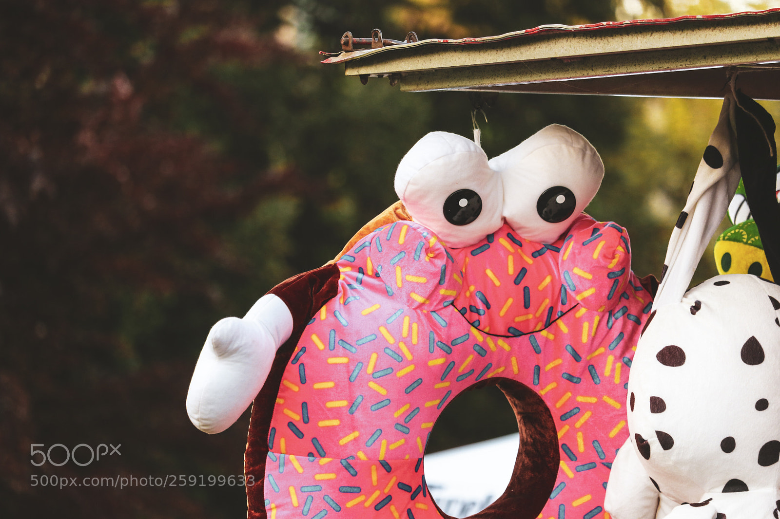 Canon EOS 80D sample photo. Rochester lilac festival 2018 photography