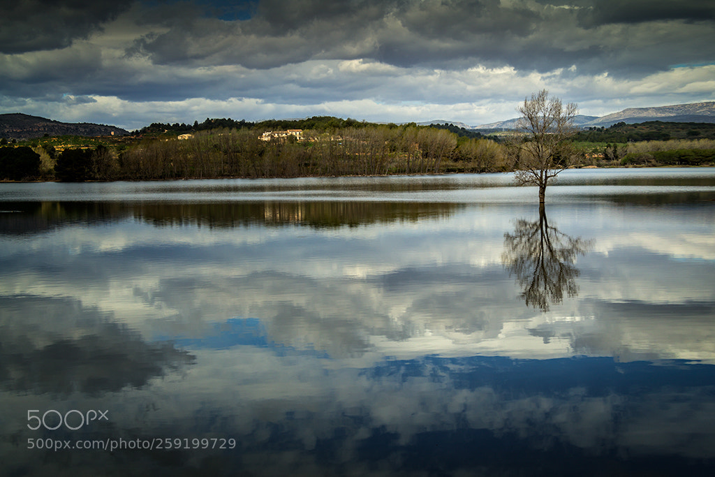Canon EOS 60D sample photo. Regajo reflejo photography