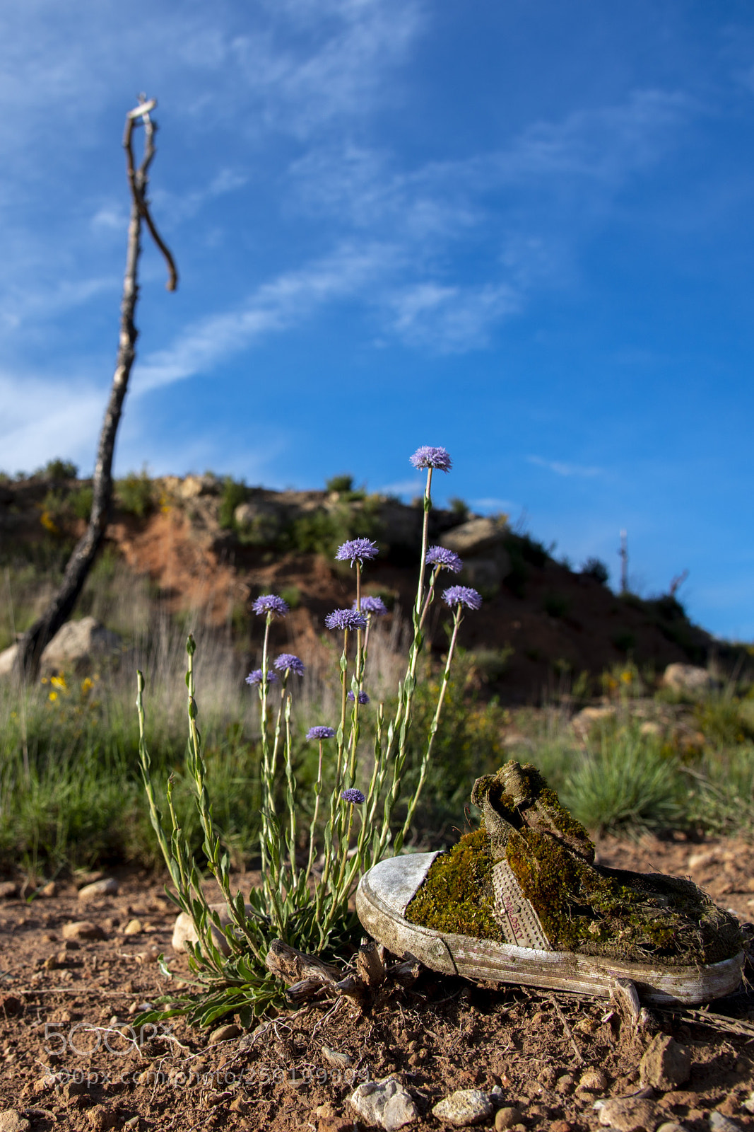 Nikon D610 sample photo. R photography