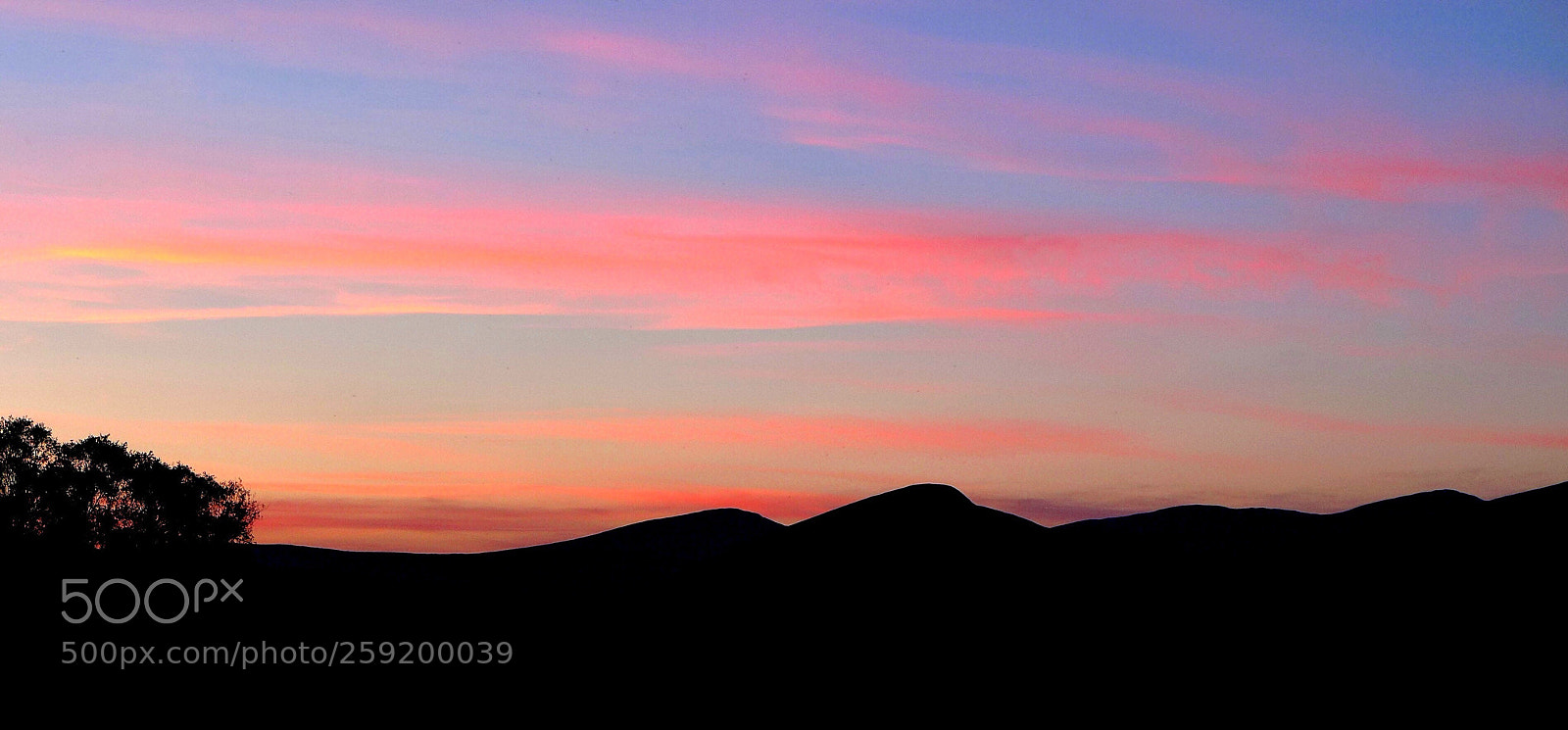 Panasonic Lumix DMC-LX7 sample photo. Summer nights photography