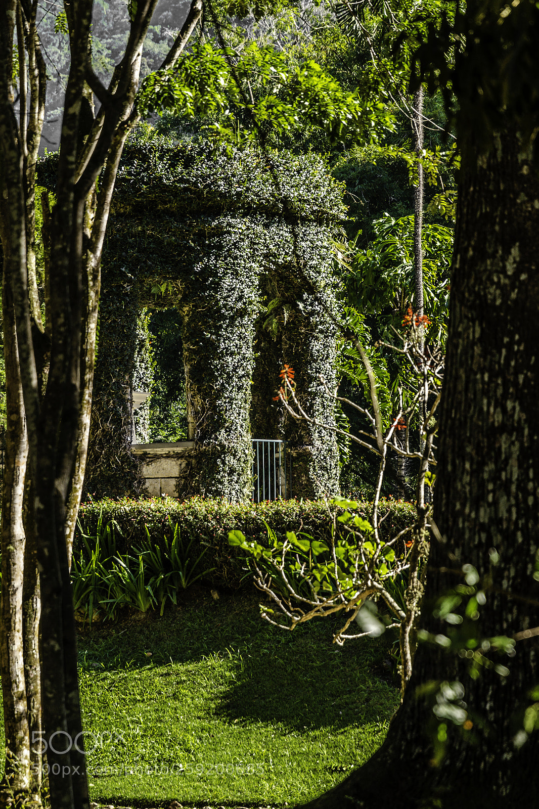 Nikon D5100 sample photo. Secret garden photography