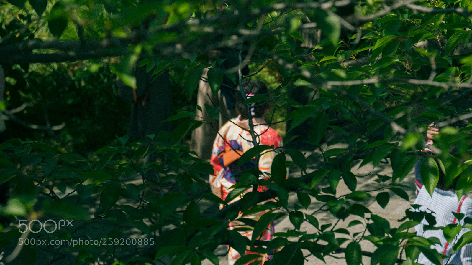 Panasonic Lumix DMC-GX85 (Lumix DMC-GX80 / Lumix DMC-GX7 Mark II) sample photo. Hidden geisha photography