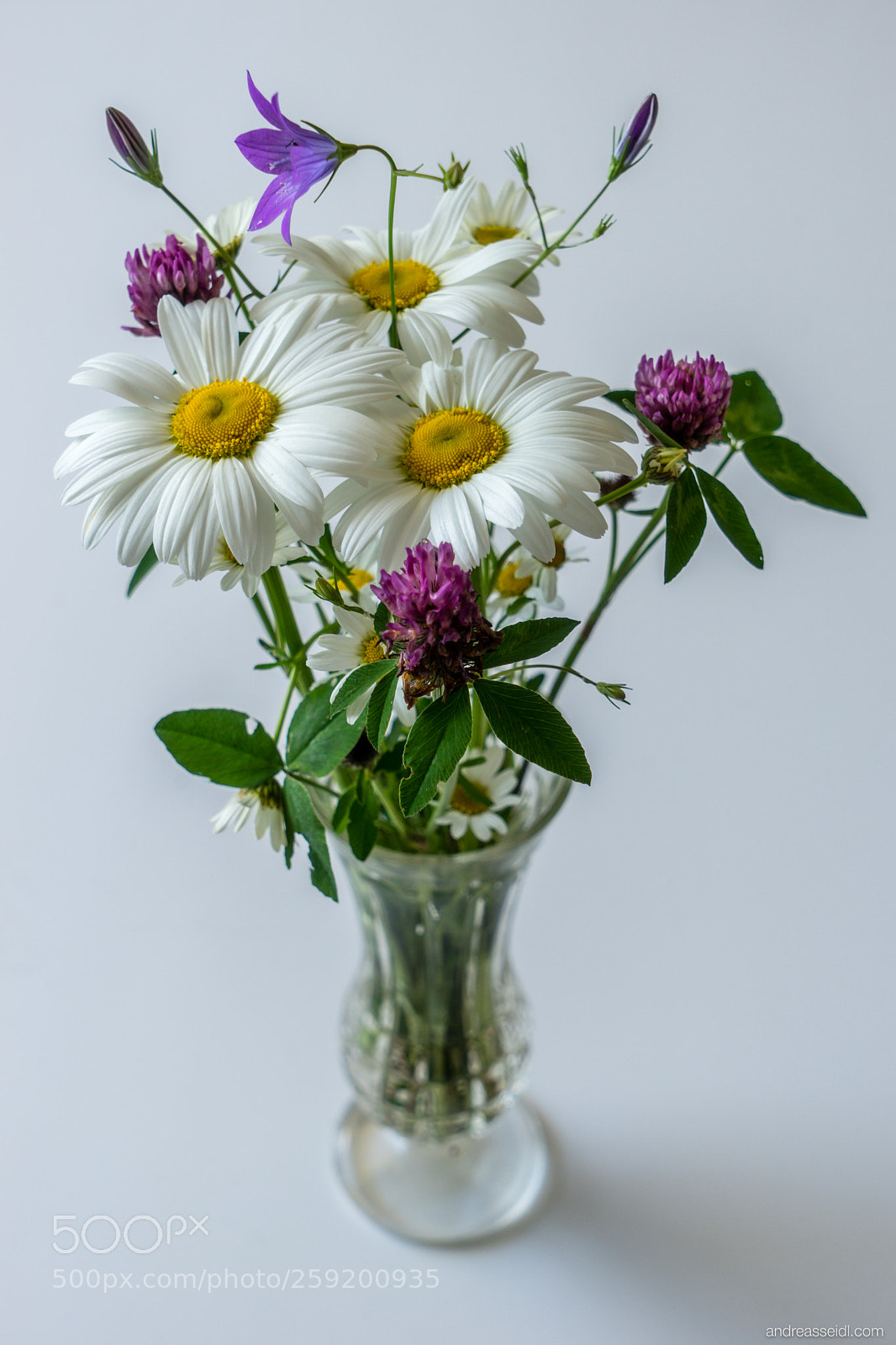 Sony a7 sample photo. Wiesenblumenstrauss photography
