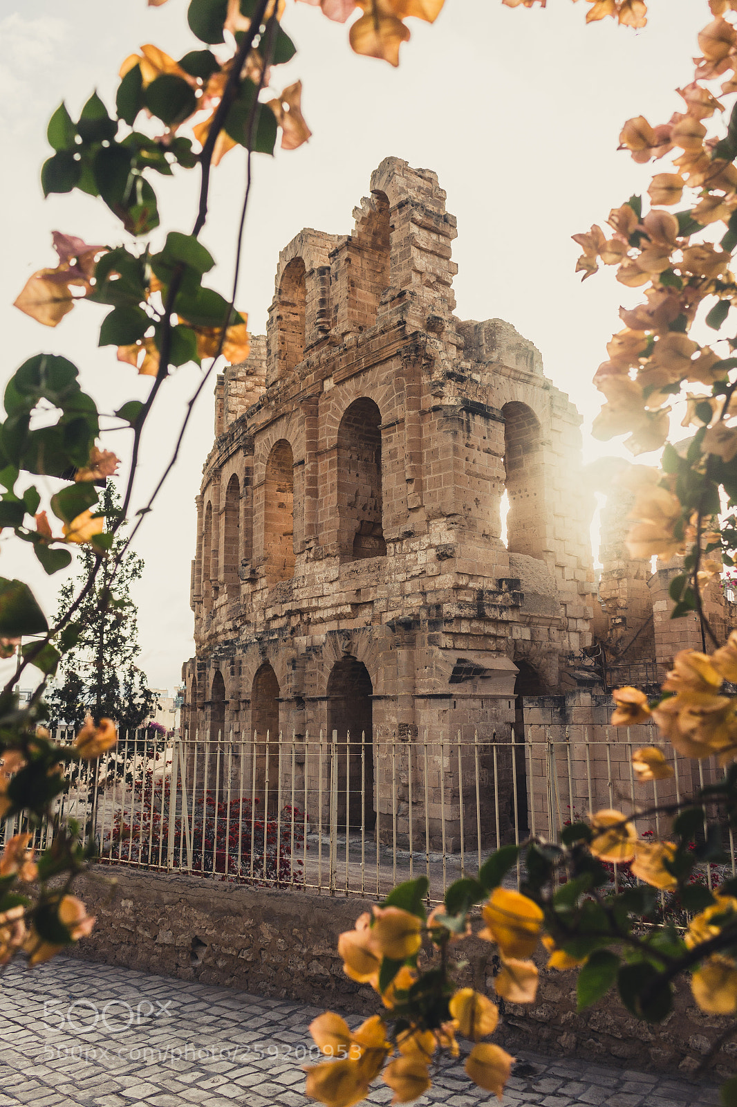 Canon EOS 700D (EOS Rebel T5i / EOS Kiss X7i) sample photo. El jem colosseum 1 photography