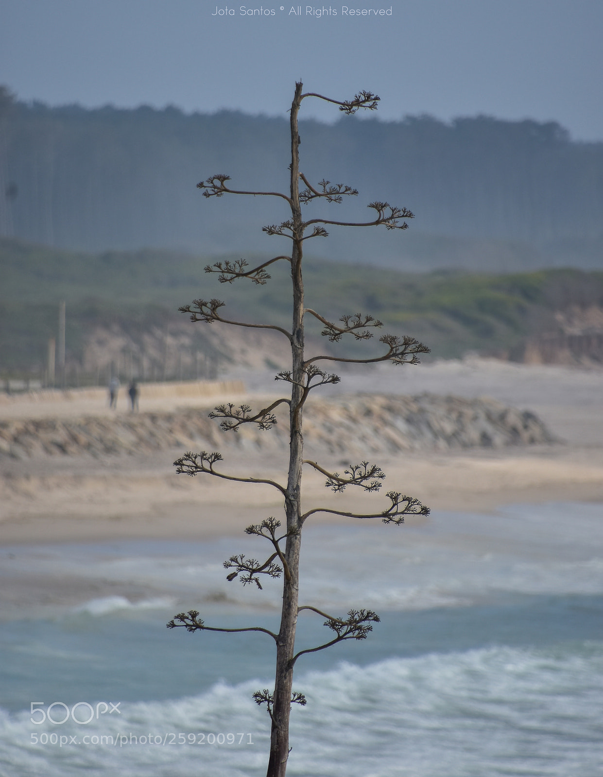 Nikon D7200 sample photo. Under the beach photography