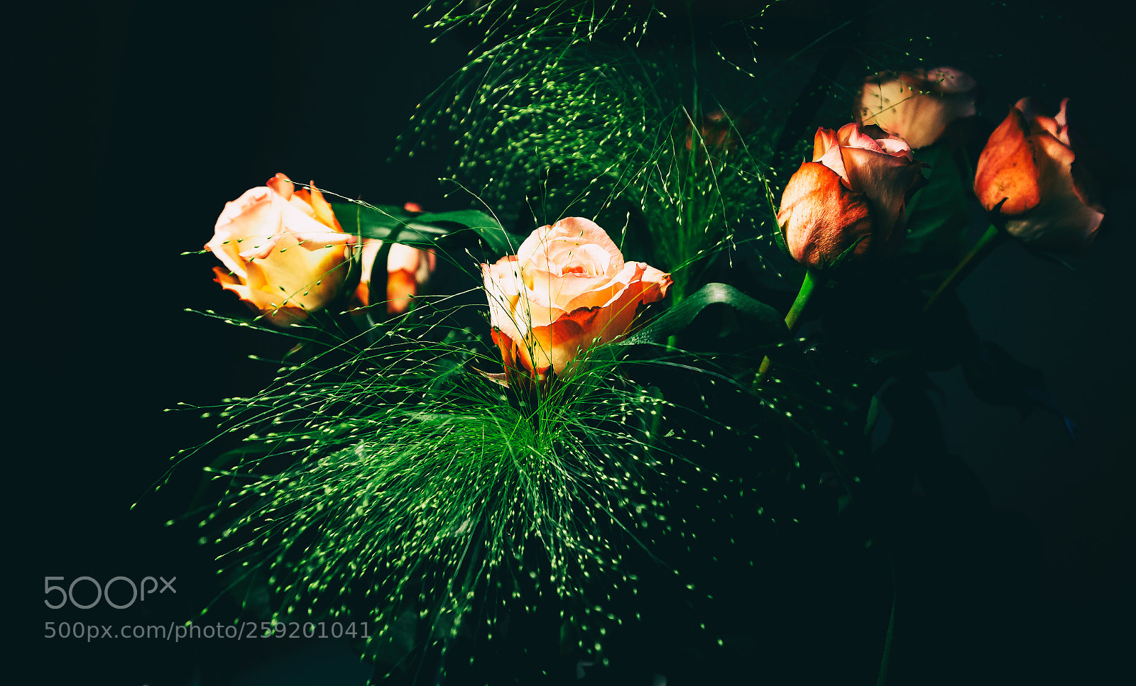 Canon EOS 6D sample photo. Schwangaurosen photography