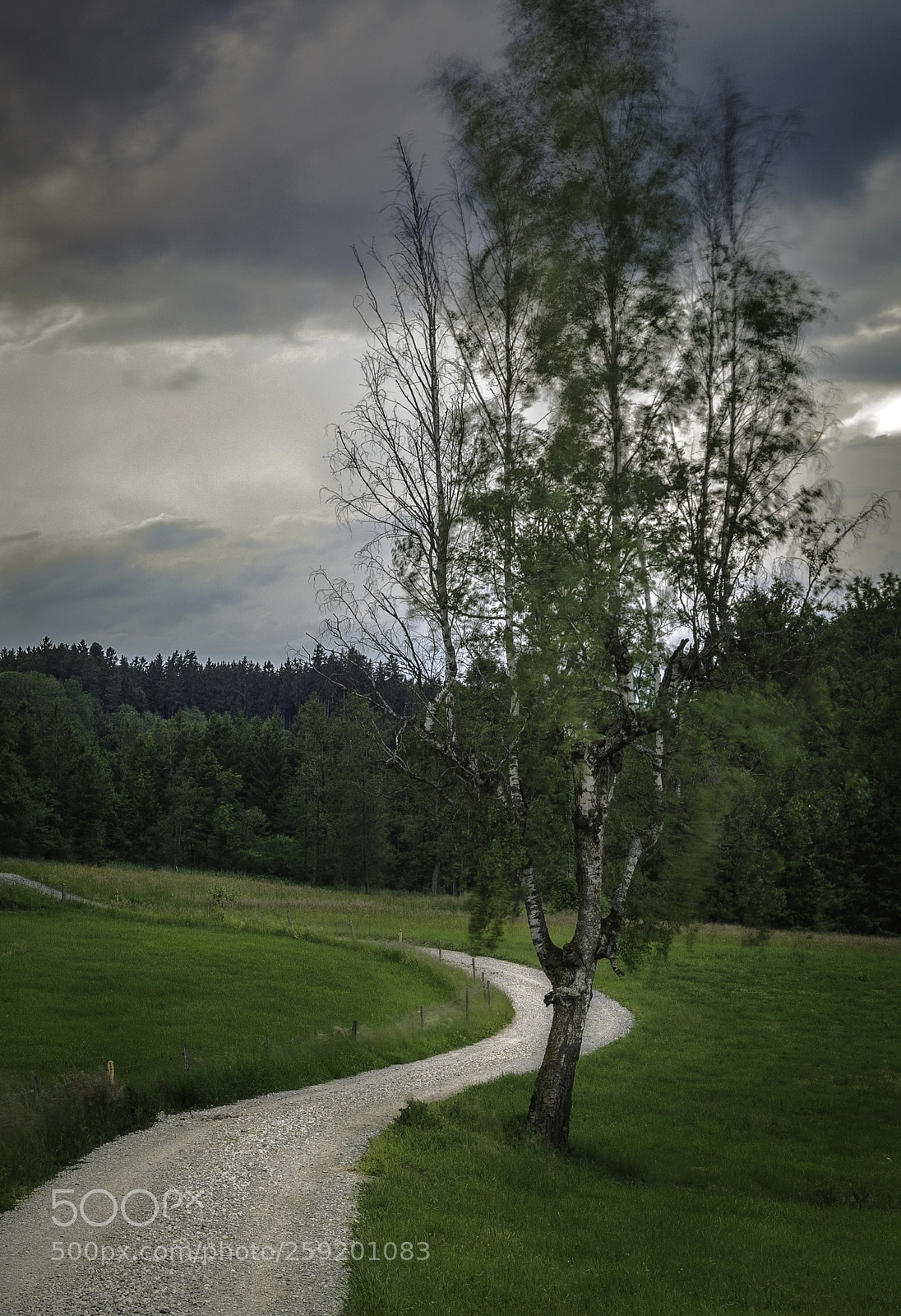 Canon EOS 5D Mark II sample photo. Untitled photography