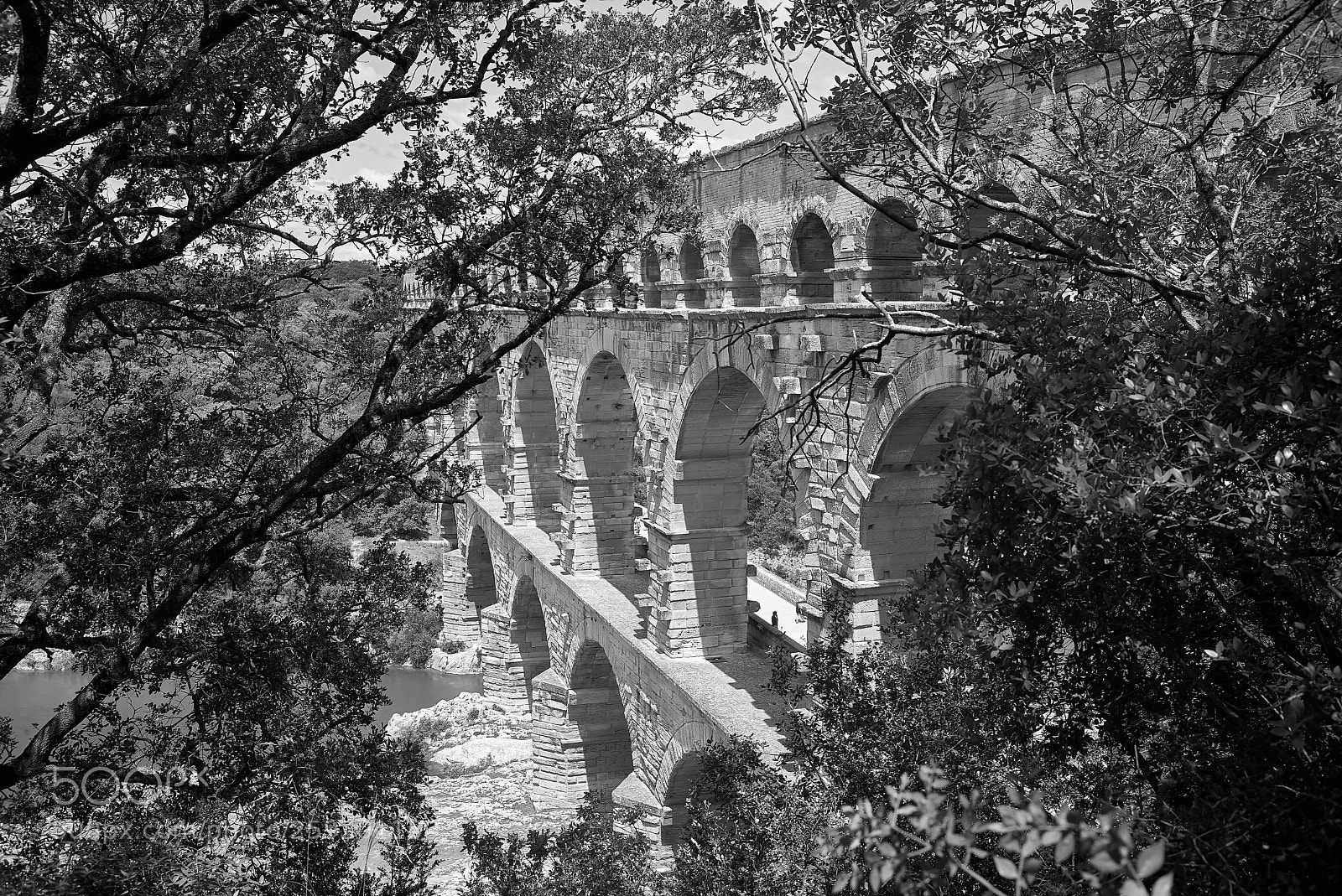 Leica M (Typ 240) sample photo. Pont du gard photography