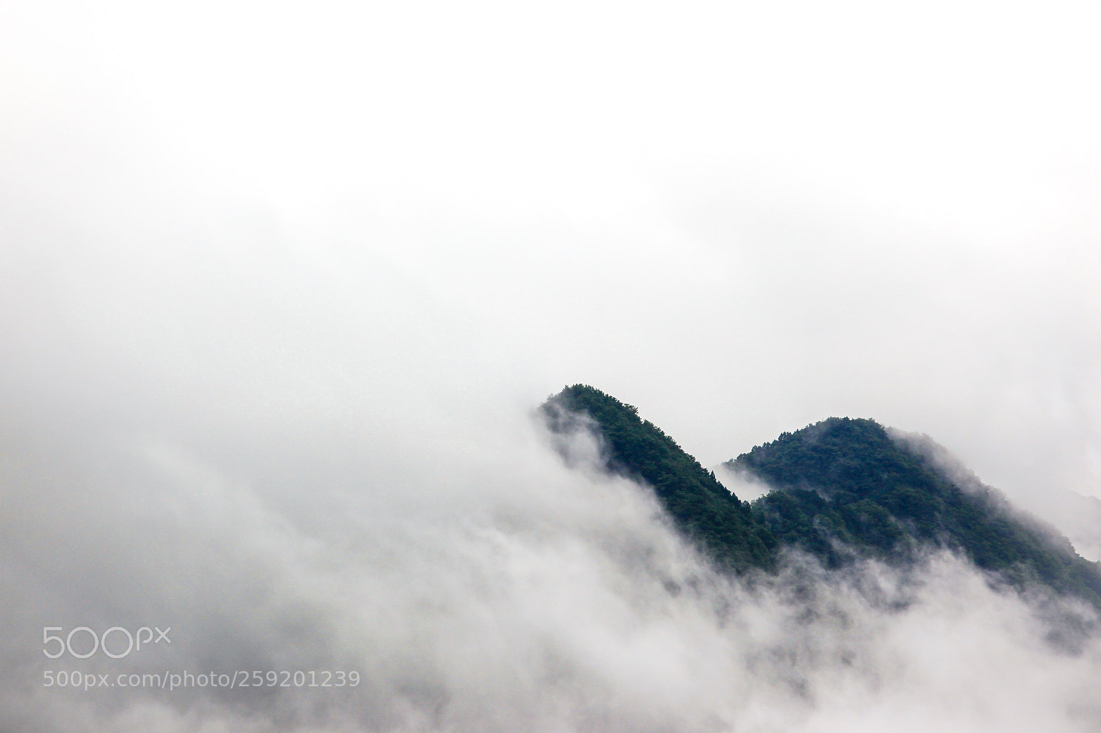 Canon EOS 5D Mark II sample photo. Lost in the clouds photography
