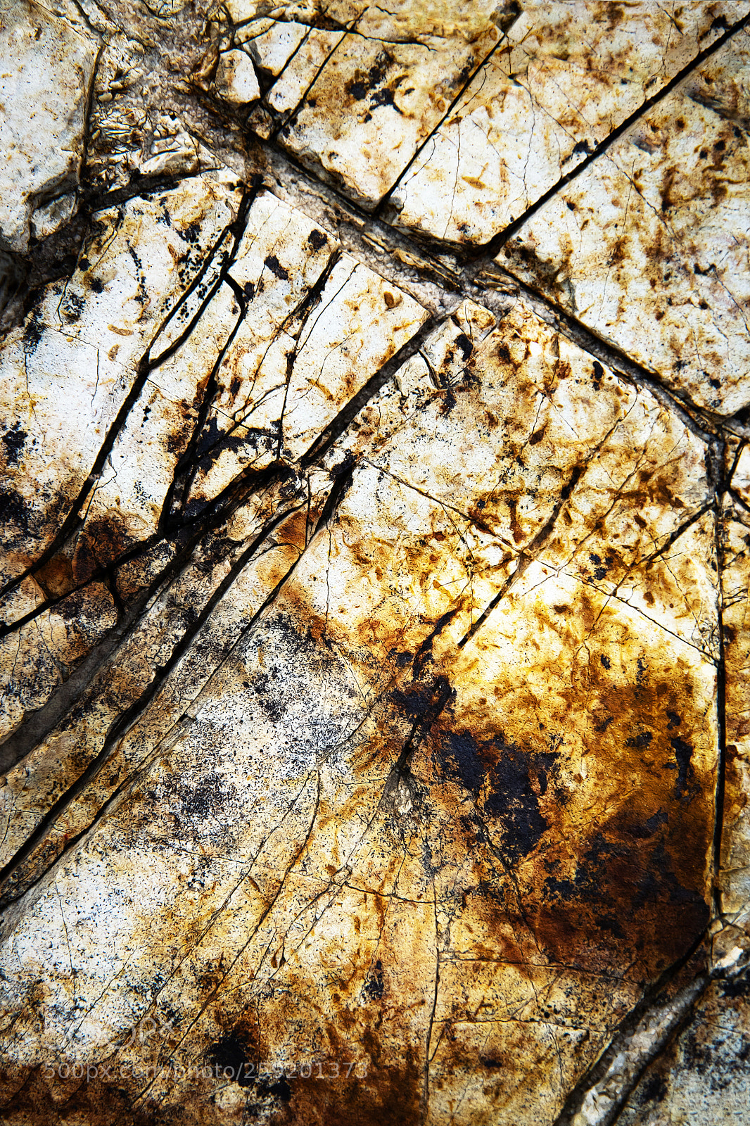Nikon D5500 sample photo. Detail the groove surface photography