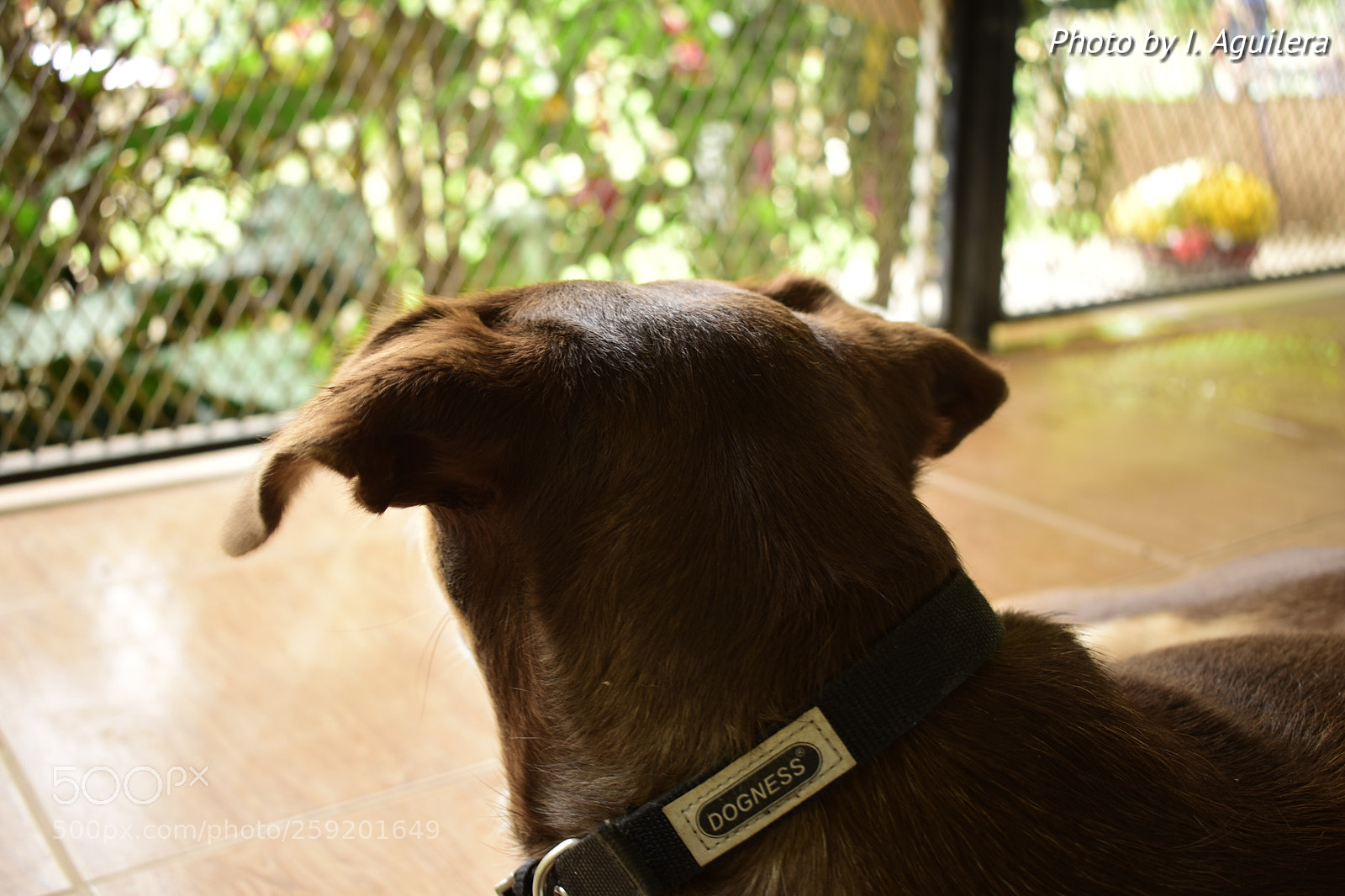 Nikon D5600 sample photo. Untitled photography