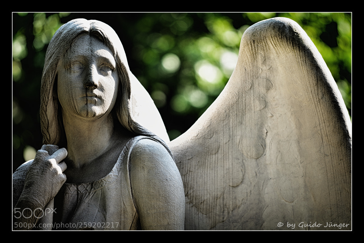 Nikon D7100 sample photo. Engel photography