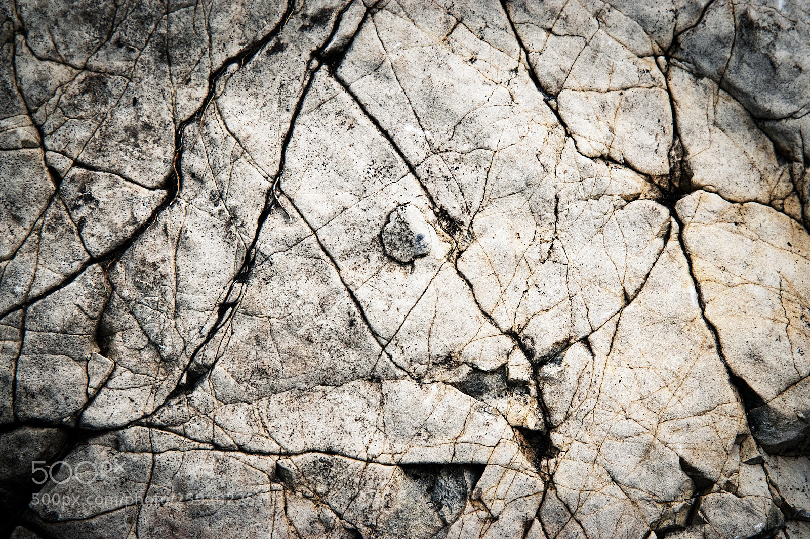 Nikon D5500 sample photo. Detail a groove on photography